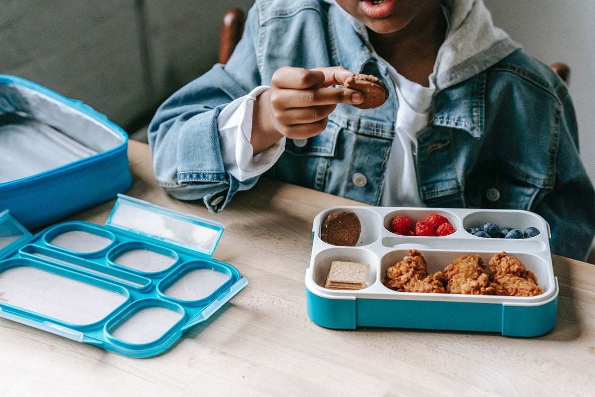 Beef Jerky Bento Snack Box or School Lunch Side 