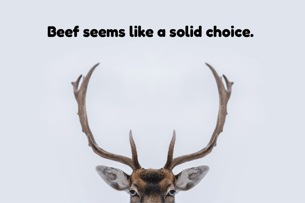 Image text reading 'Beef seems like a solid choice'