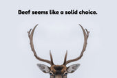 Image text reading 'Beef seems like a solid choice'