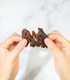 Pan's Mushroom Jerky Variety Pack by Pan's Mushroom Jerky