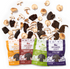 Pan's Mushroom Jerky Variety Pack by Pan's Mushroom Jerky